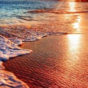 Meet your Posher, Ting